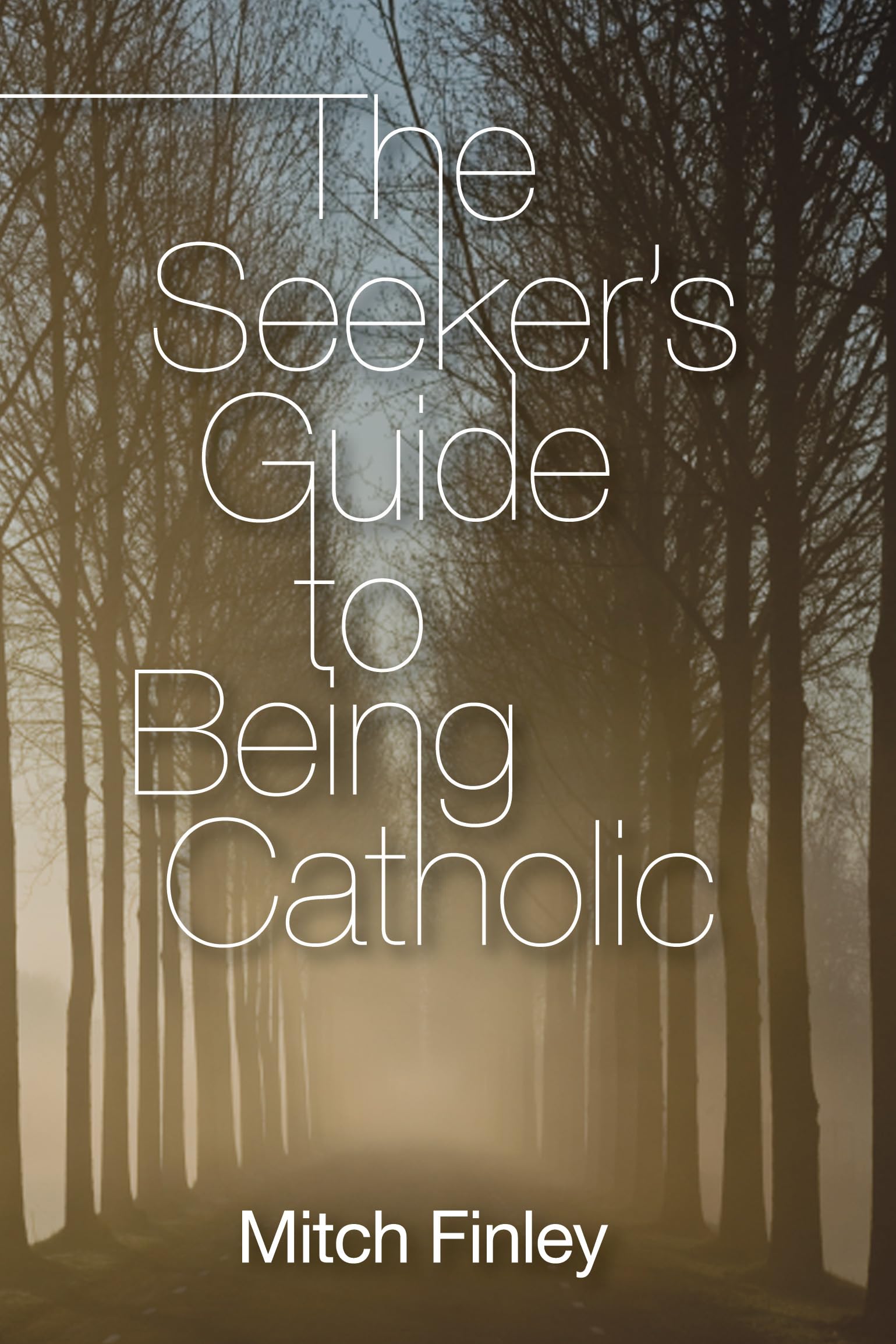 The Seeker's Guide to Being Catholic - 8618