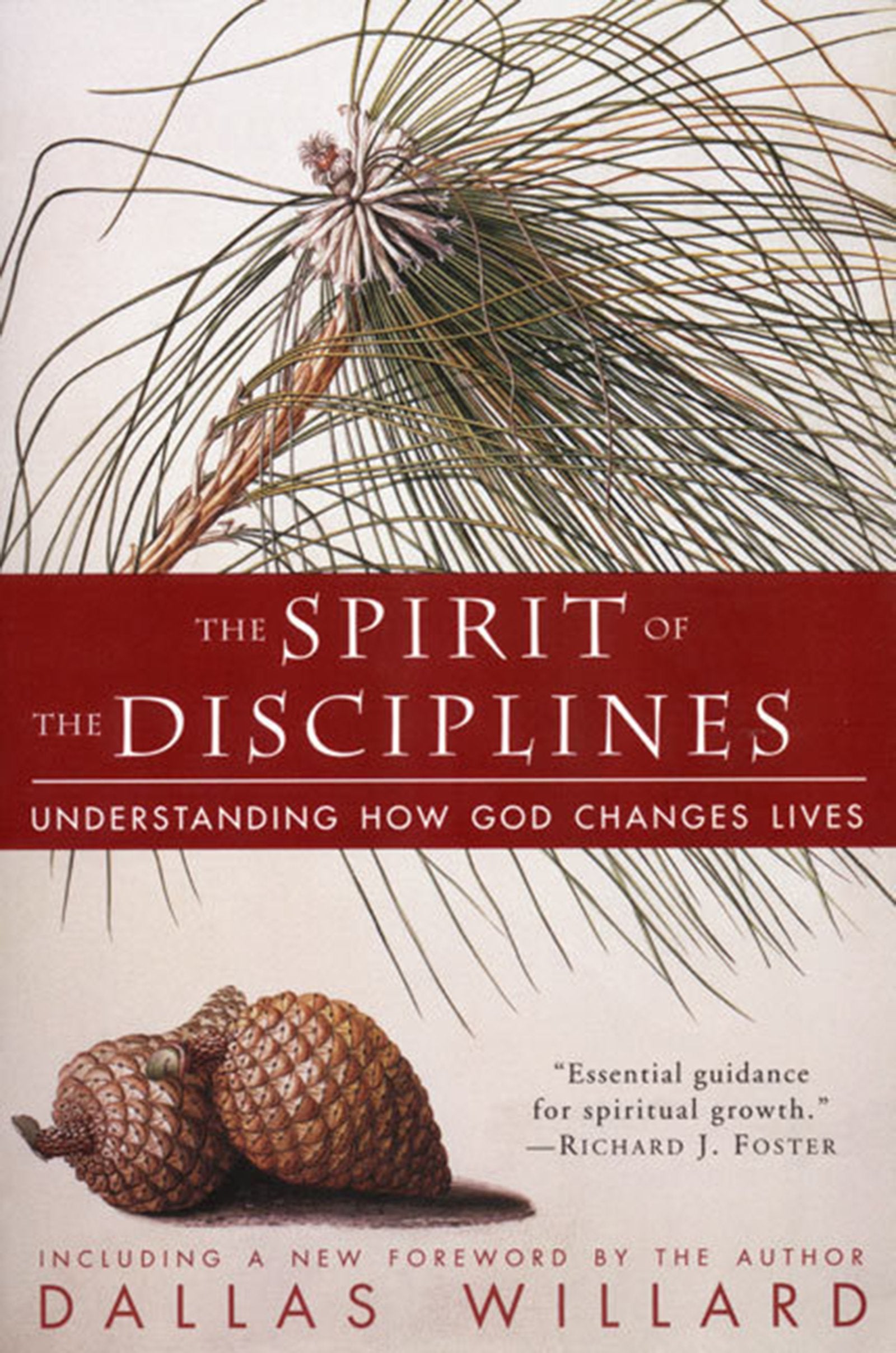 The Spirit of the Disciplines: Understanding How God Changes Lives - 2045