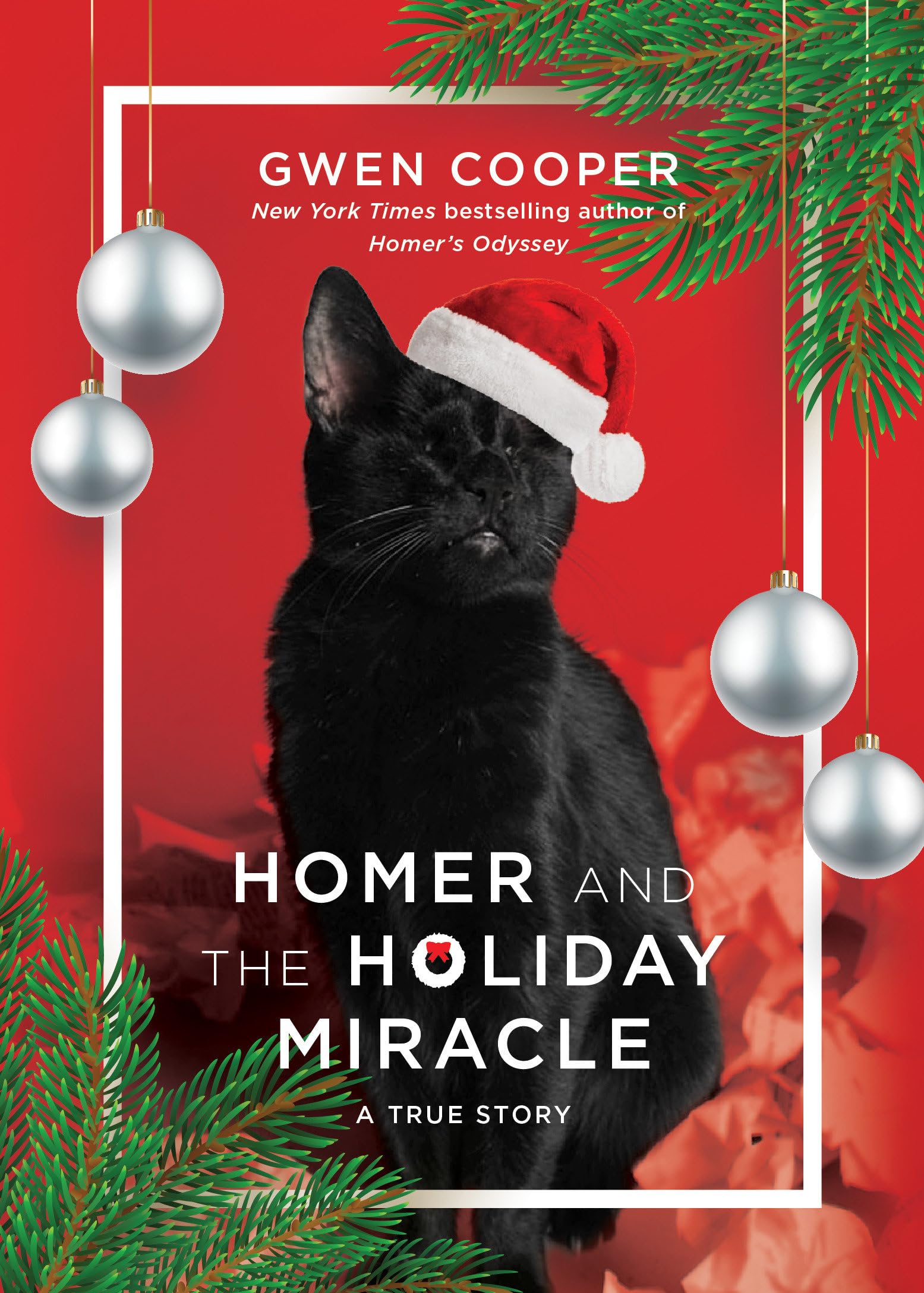 Homer and the Holiday Miracle: A True Story - 4040