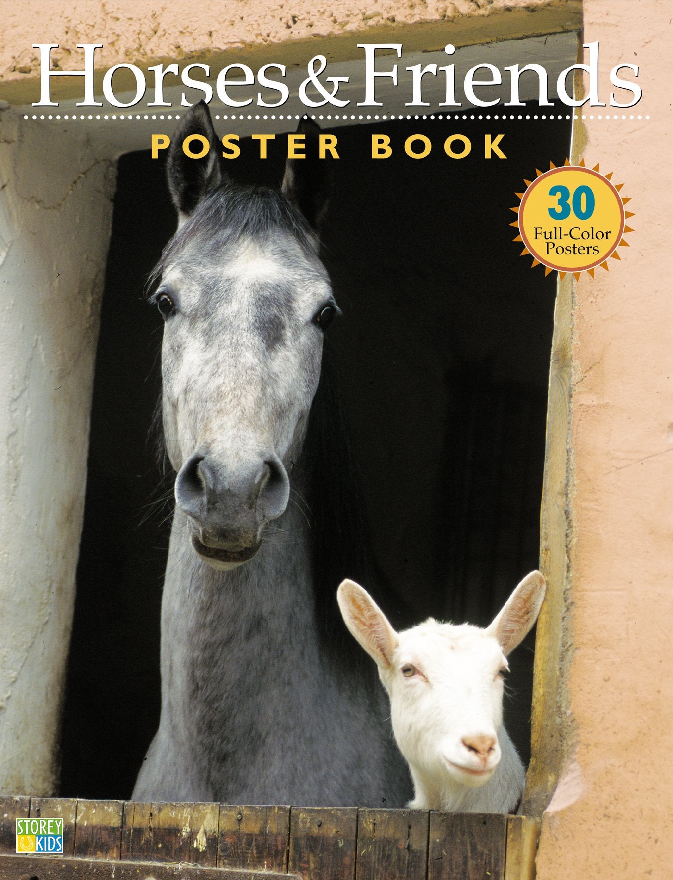 Horses & Friends Poster Book - 4260