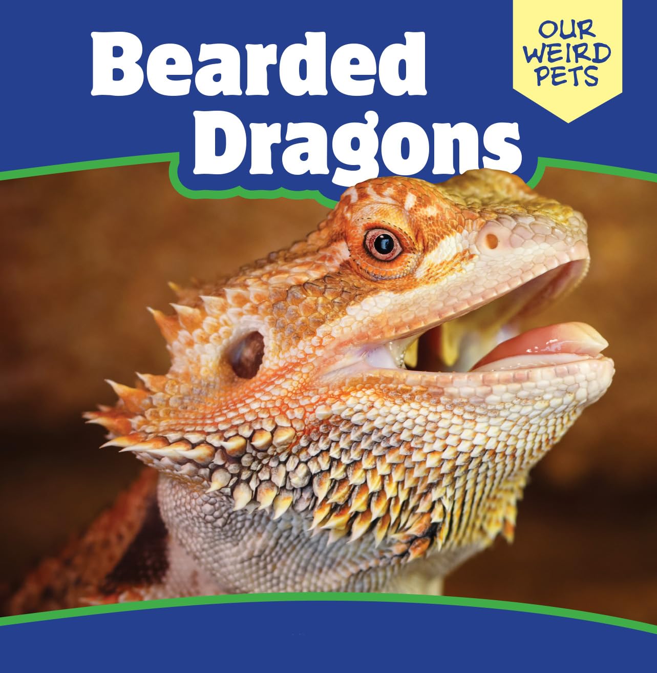 Bearded Dragons (Our Weird Pets) - 4394