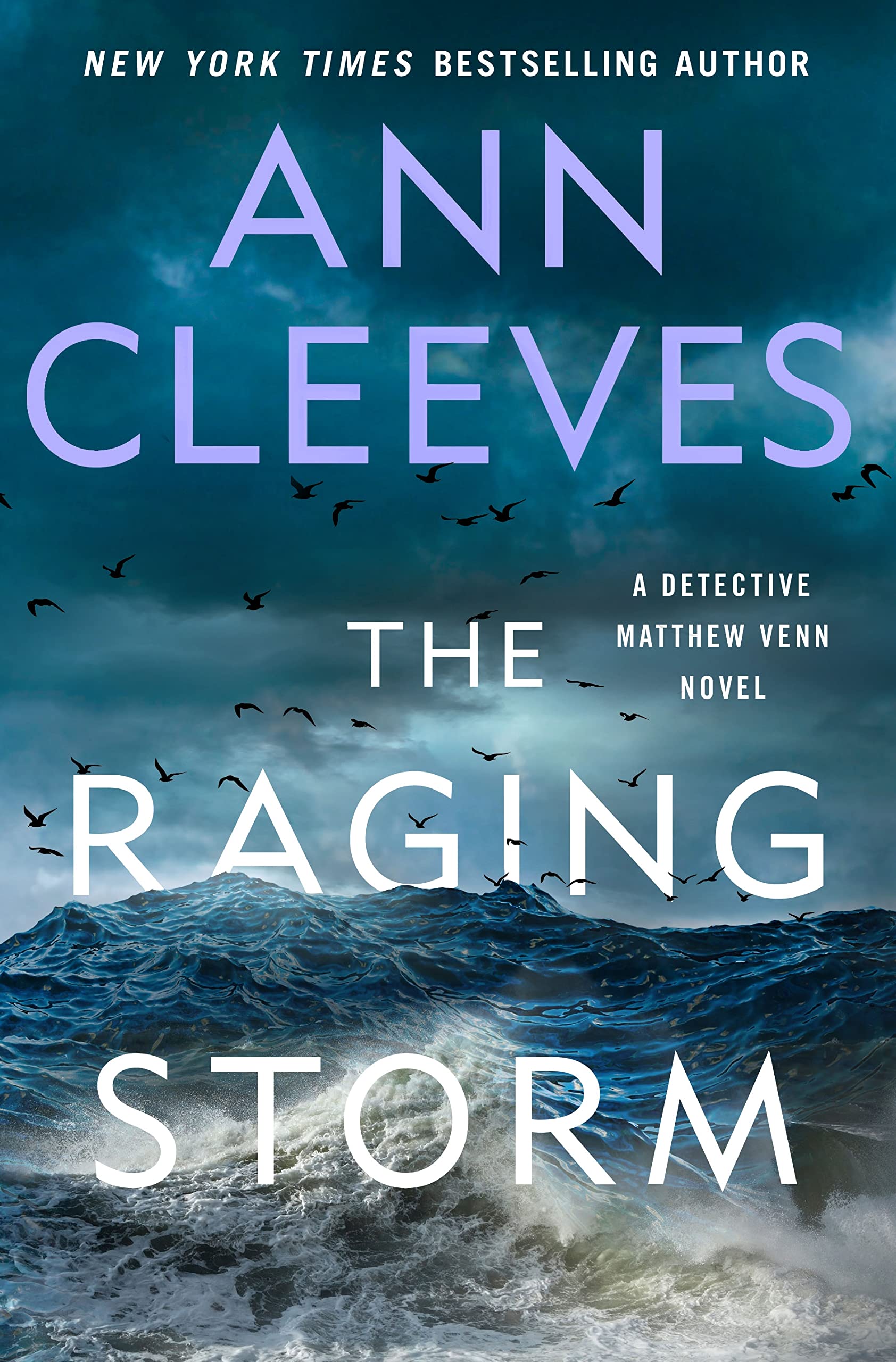 The Raging Storm: A Detective Matthew Venn Novel (Matthew Venn series, 3) - 4089