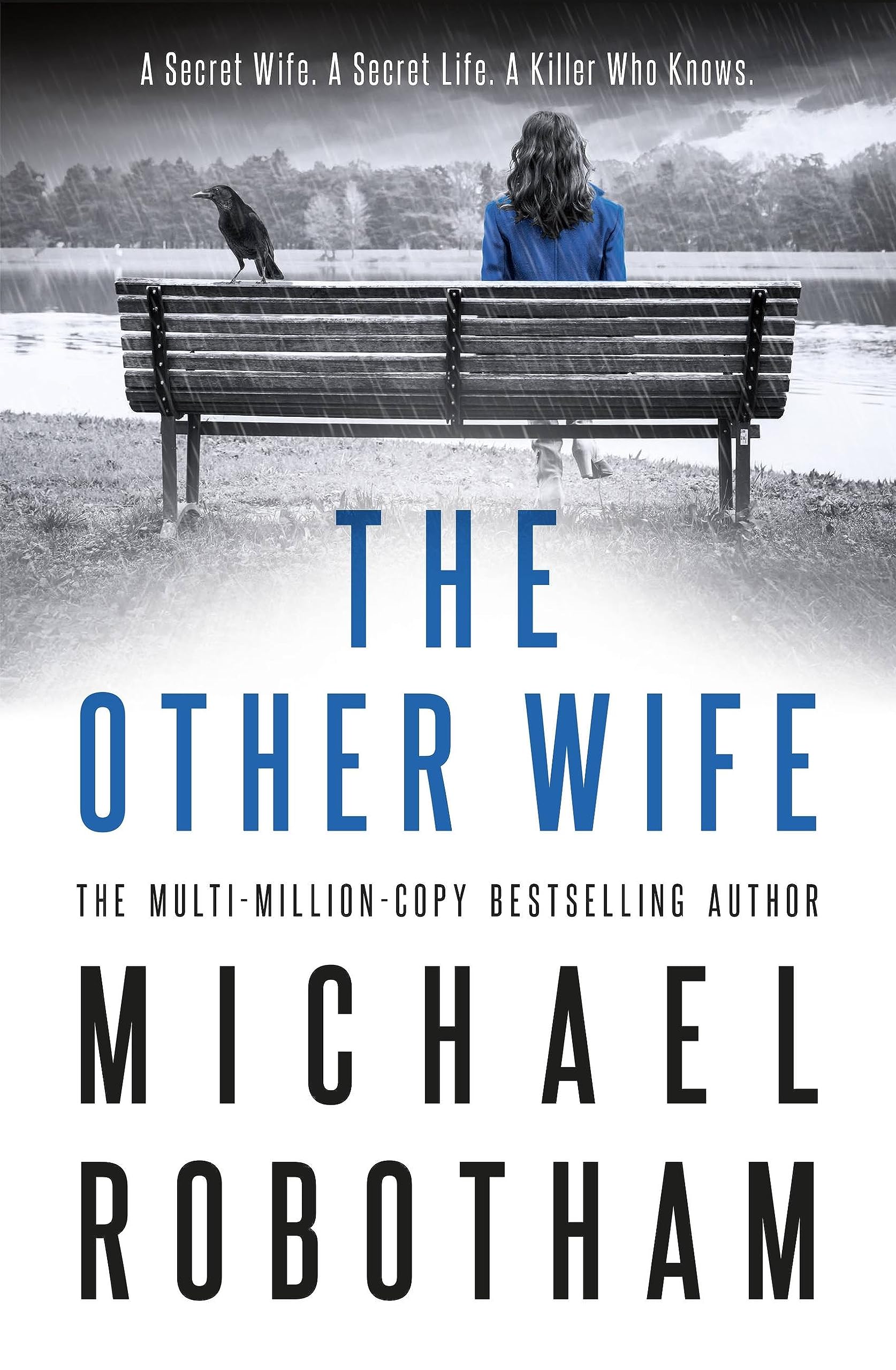 The Other Wife - 8898