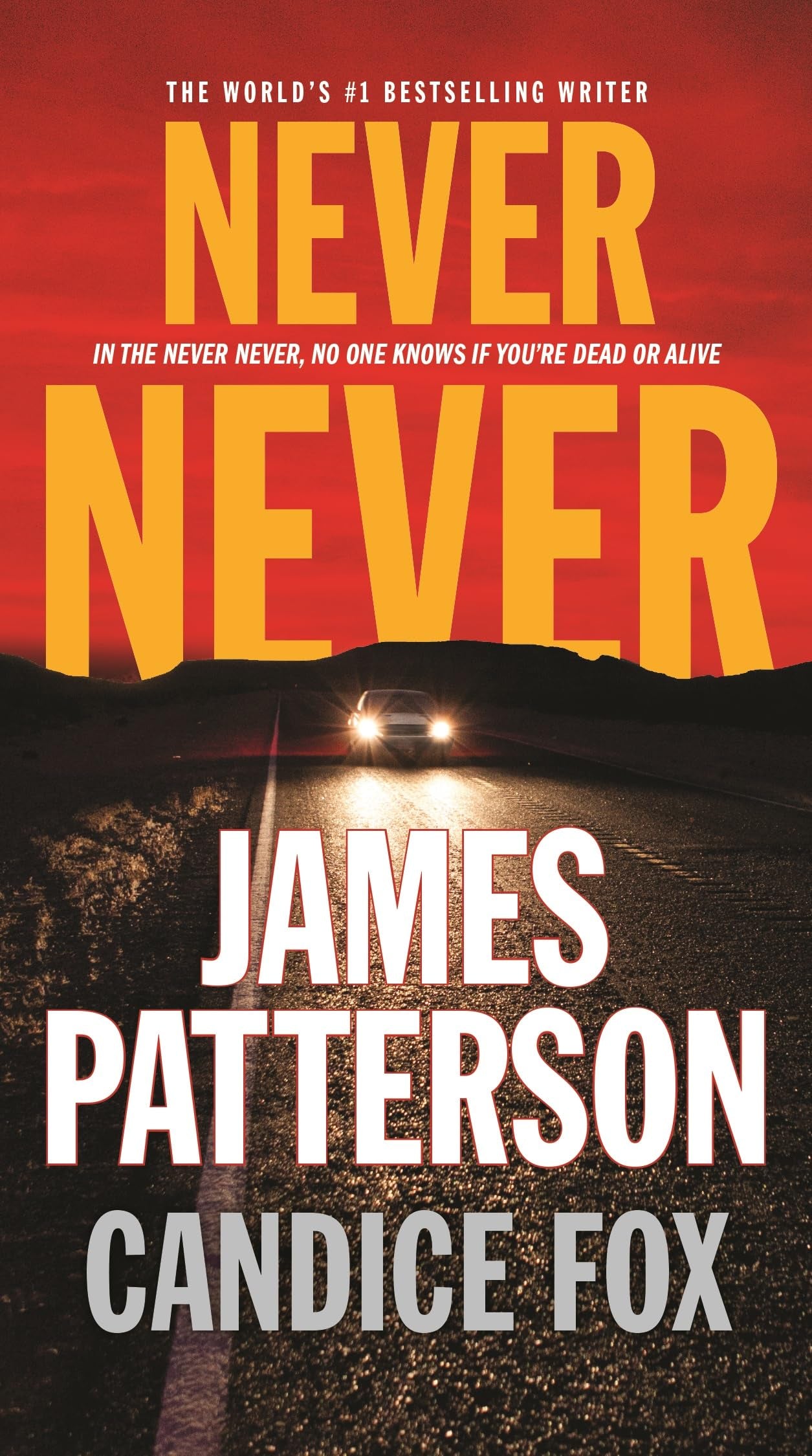 Never Never (Harriet Blue, 1) - 6691