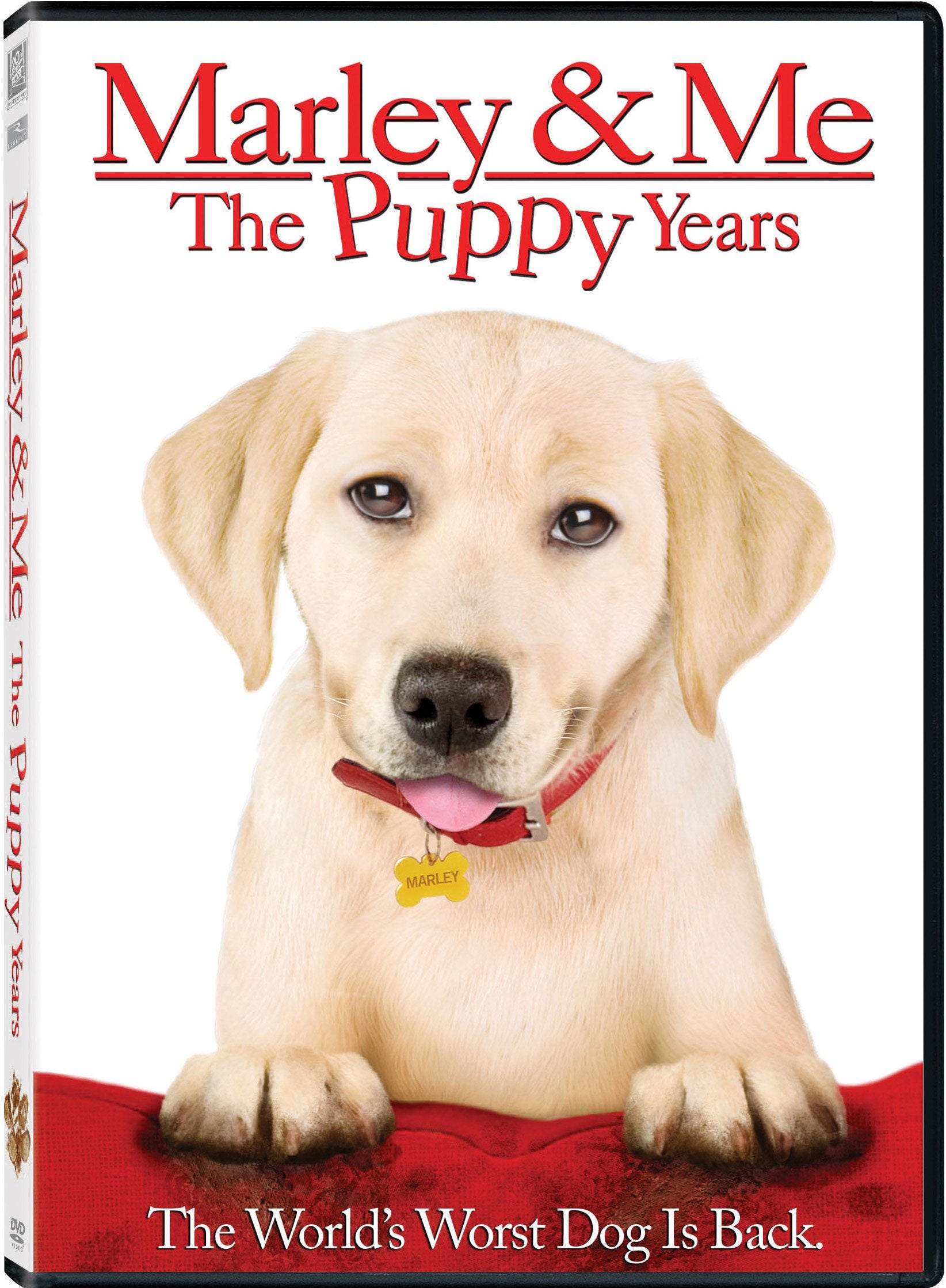 Marley And Me - 2849