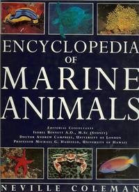 Encyclopedia of Marine Animals - 3905