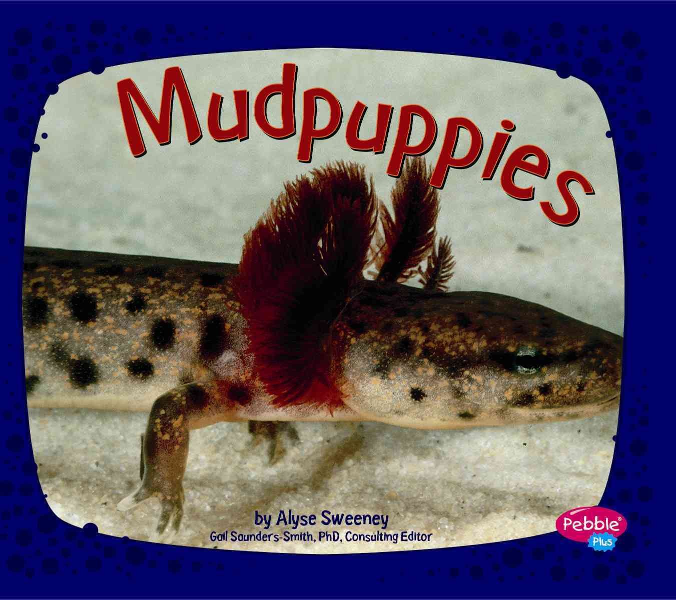 Mudpuppies (Pebble Plus. Amphibians) - 3509