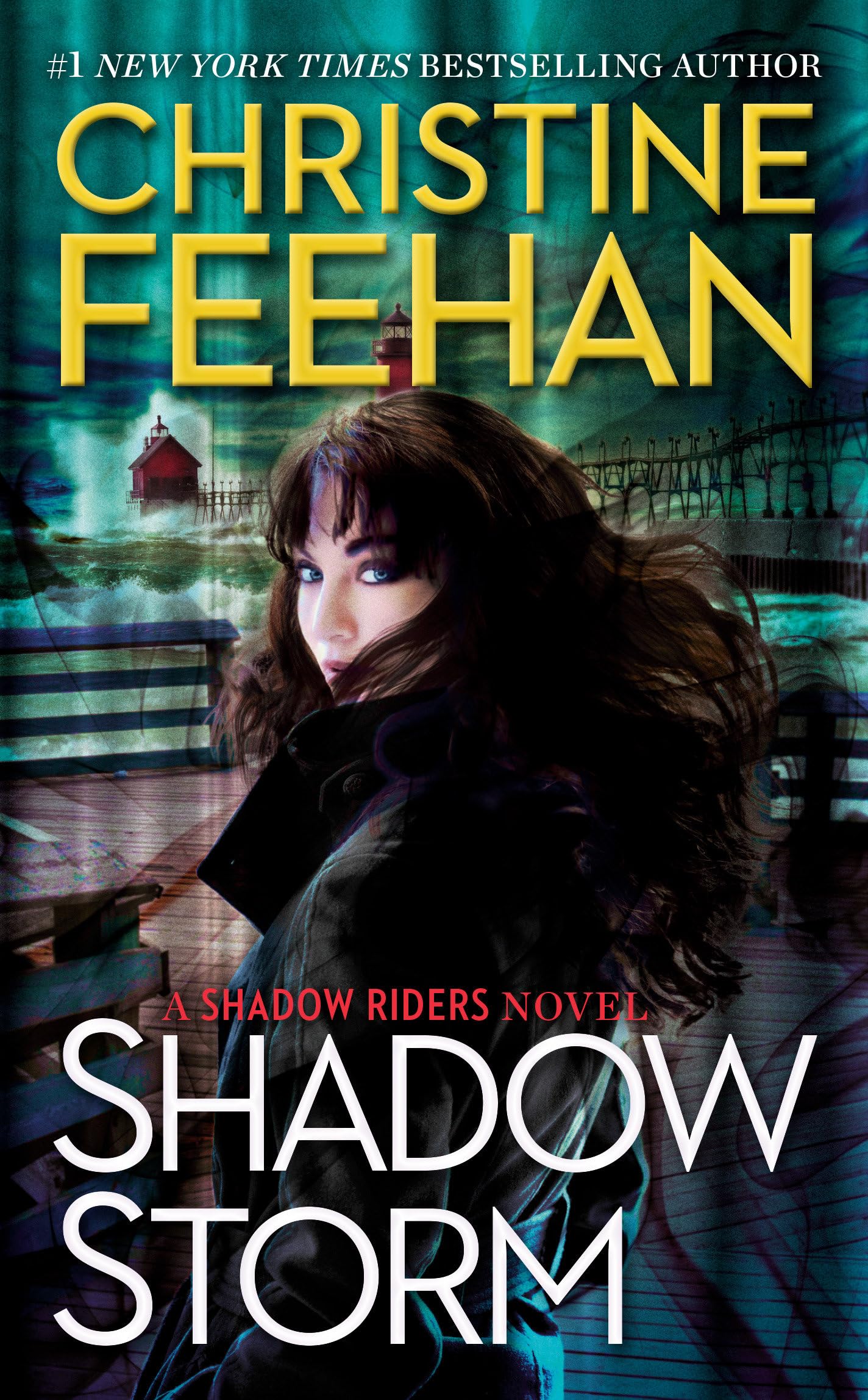 Shadow Storm (A Shadow Riders Novel) - 7343