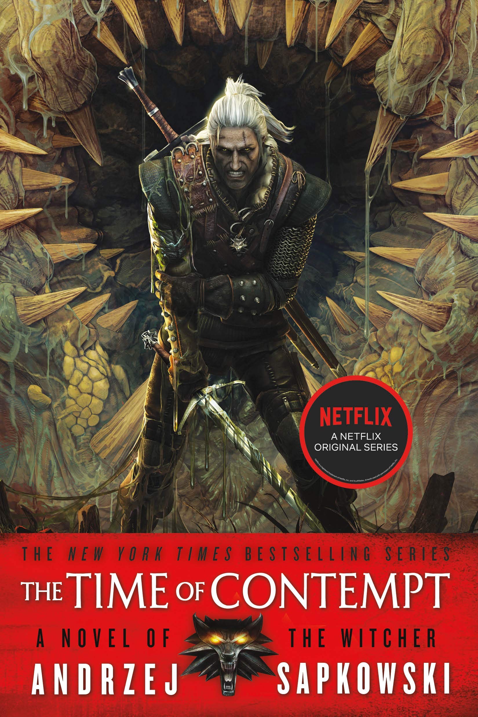 The Time of Contempt (The Witcher, 4) - 9147