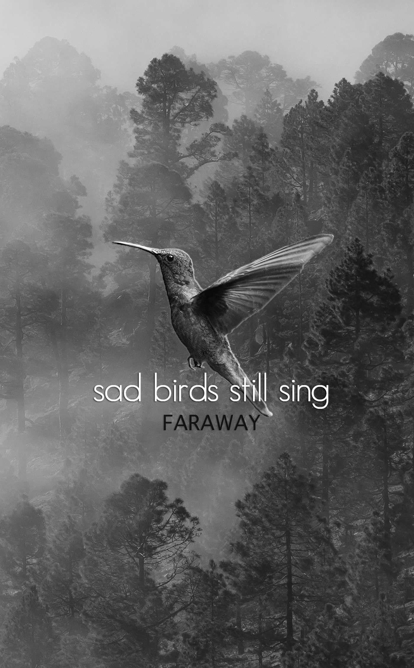 Sad Birds Still Sing - 1815