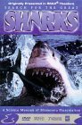 Search for the Great Sharks (Large Format) - 8472