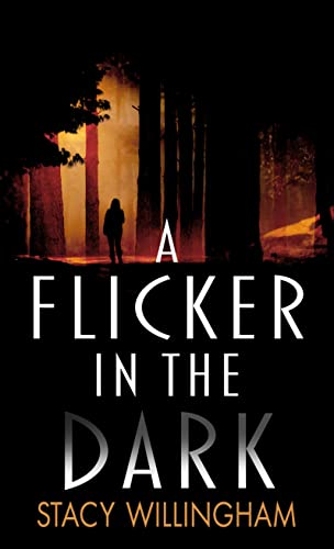 A Flicker in the Dark (Wheeler Publishing Large Print Hardcover)