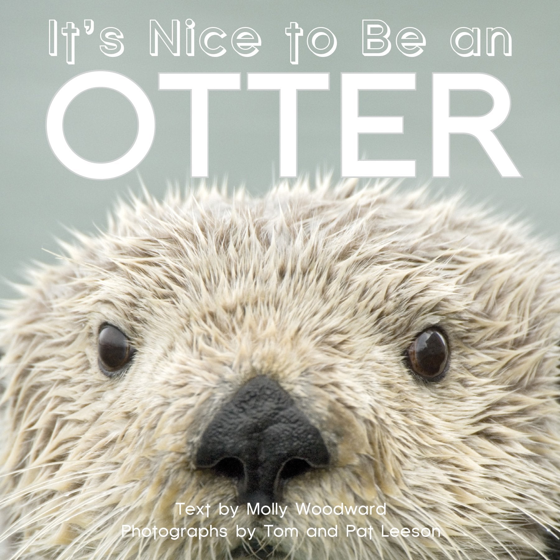 It's Nice to Be an Otter - 4235