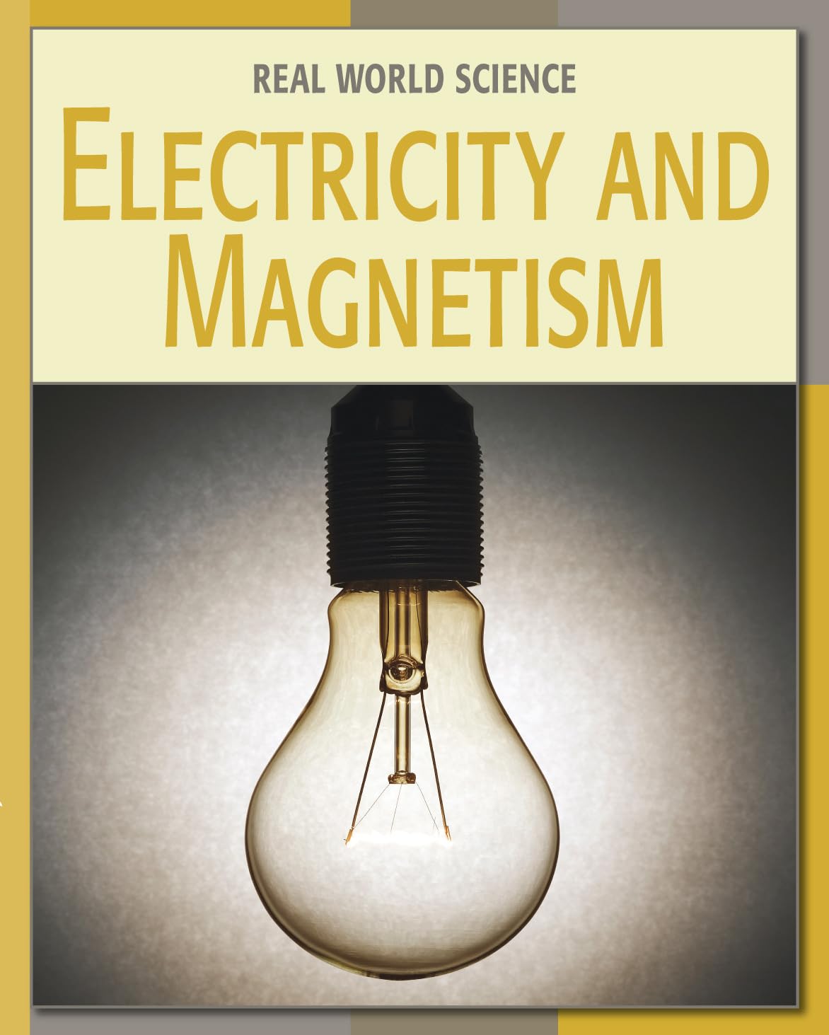 Electricity and Magnetism (21st Century Skills Library: Real World Science) - 3220