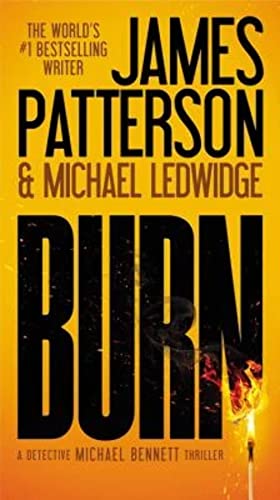 Burn (A Michael Bennett Thriller, 7) - 6396