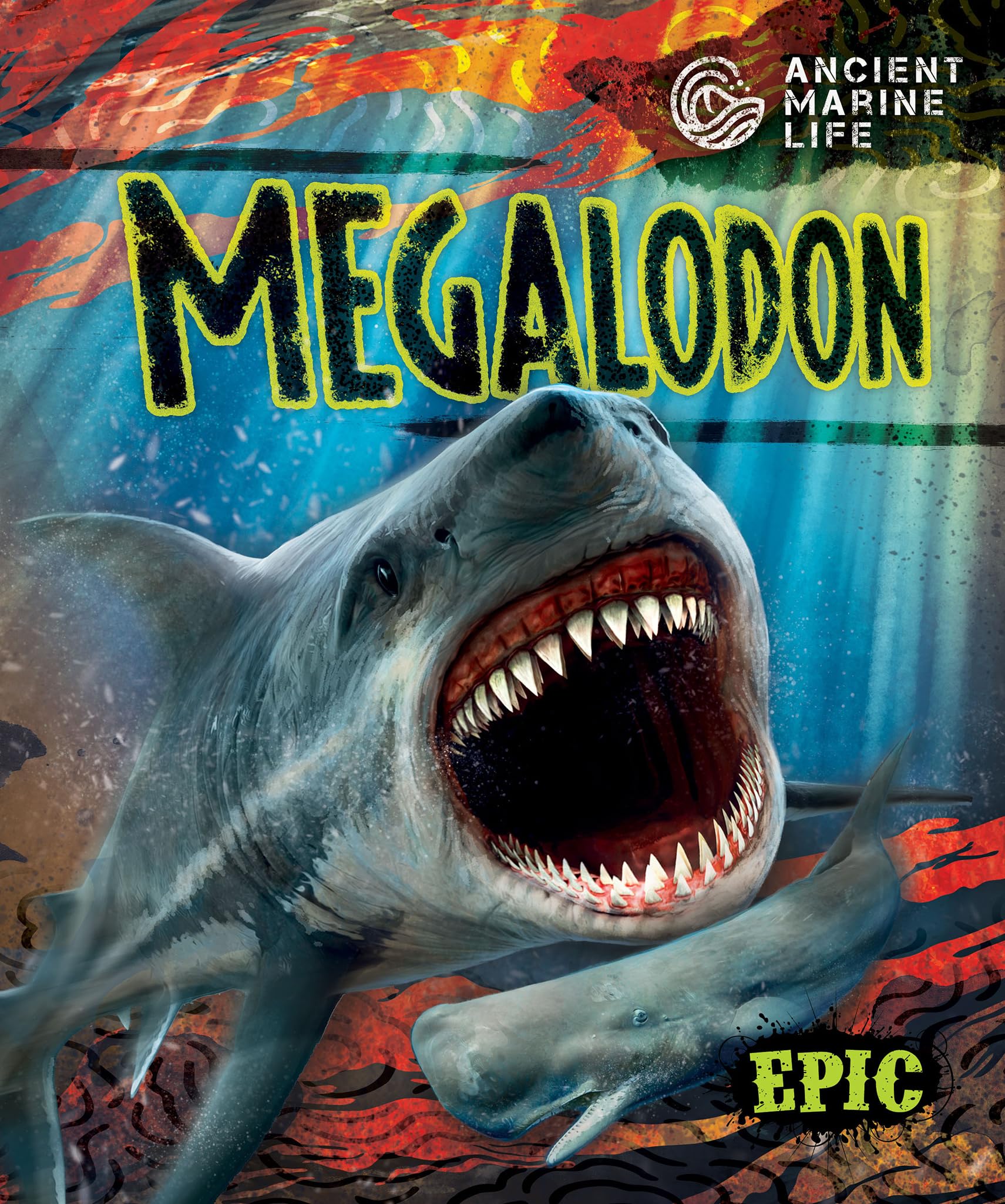 Megalodon (Ancient Marine Life) - 7022