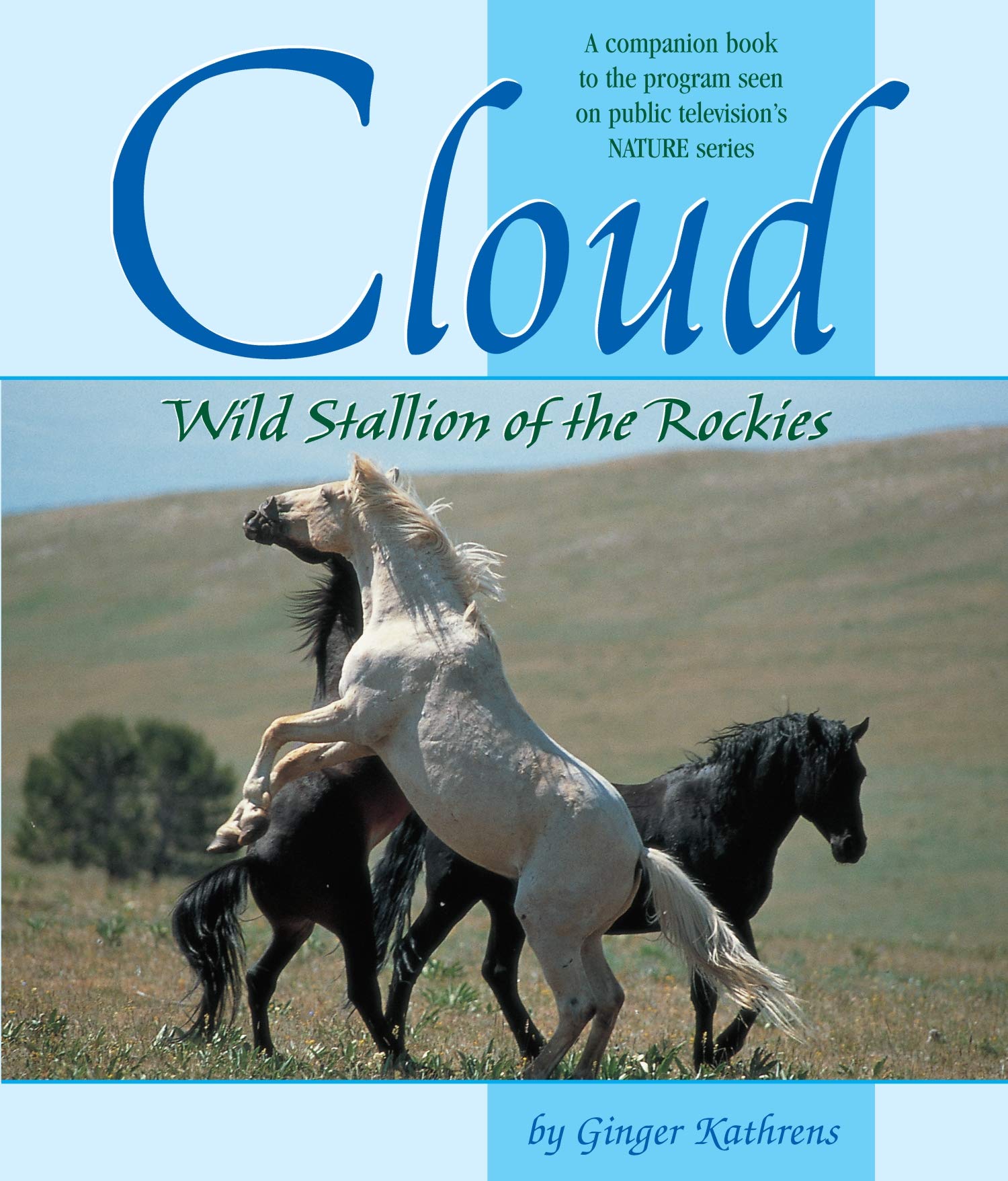 Cloud: Wild Stallion of the Rockies, Revised and Updated (CompanionHouse Books) A Companion Book to the Program Seen on Public Television's Nature Series - 8153