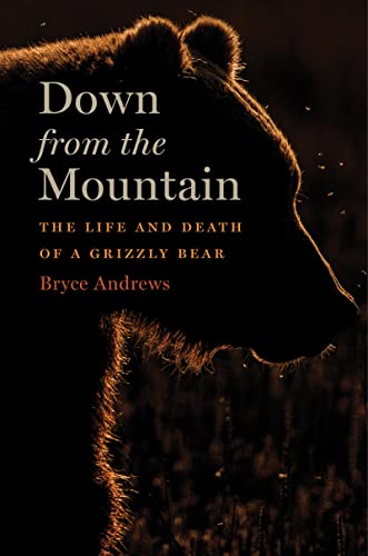 Down From The Mountain: The Life and Death of a Grizzly Bear - 8670