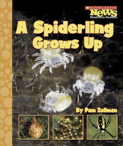 A Spiderling Grows Up (Scholastic News Nonfiction Readers) - 1699