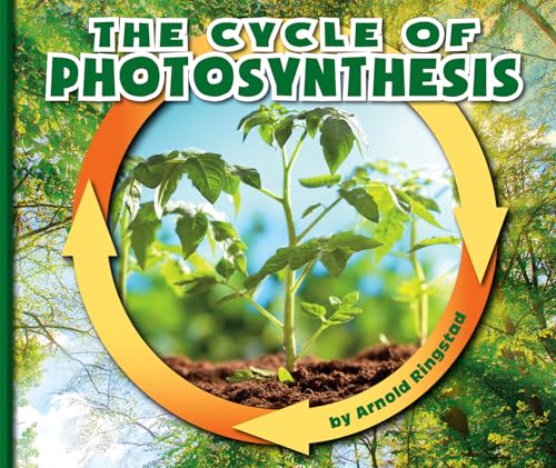 The Cycle of Photosynthesis (Nature Cycles) - 3876