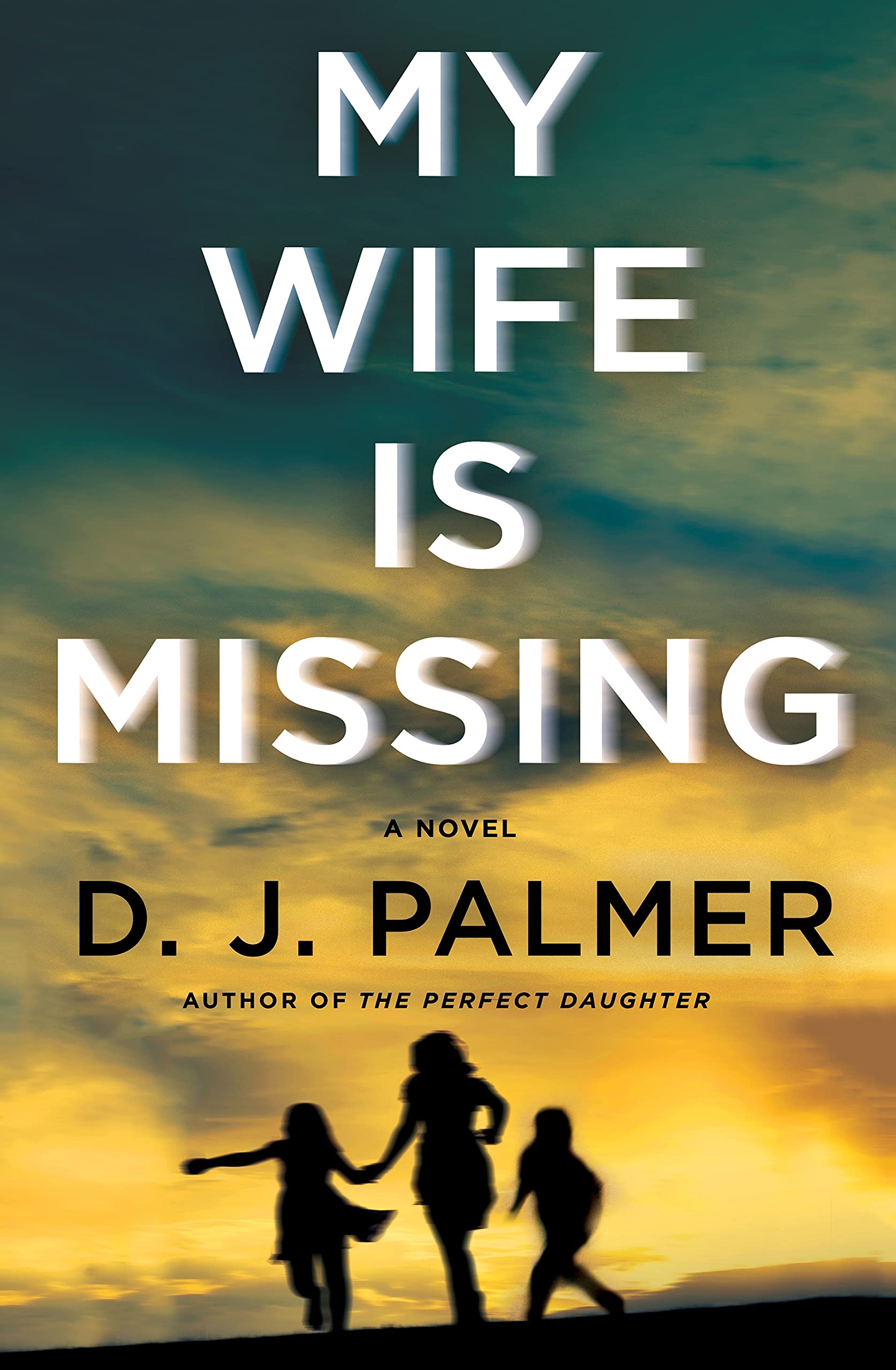 My Wife Is Missing: A Novel - 2492