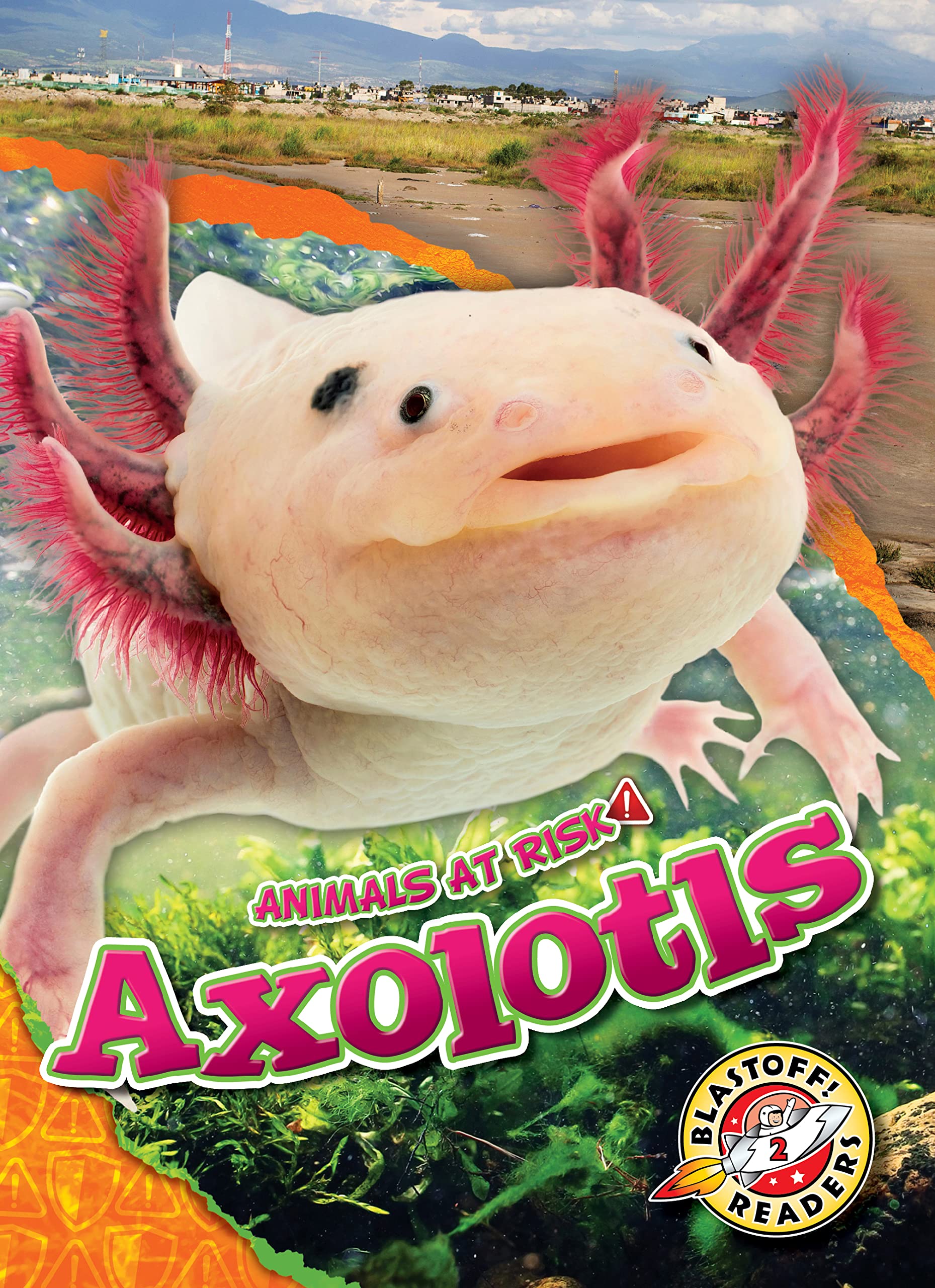 Axolotls (Animals at Risk) - 8889