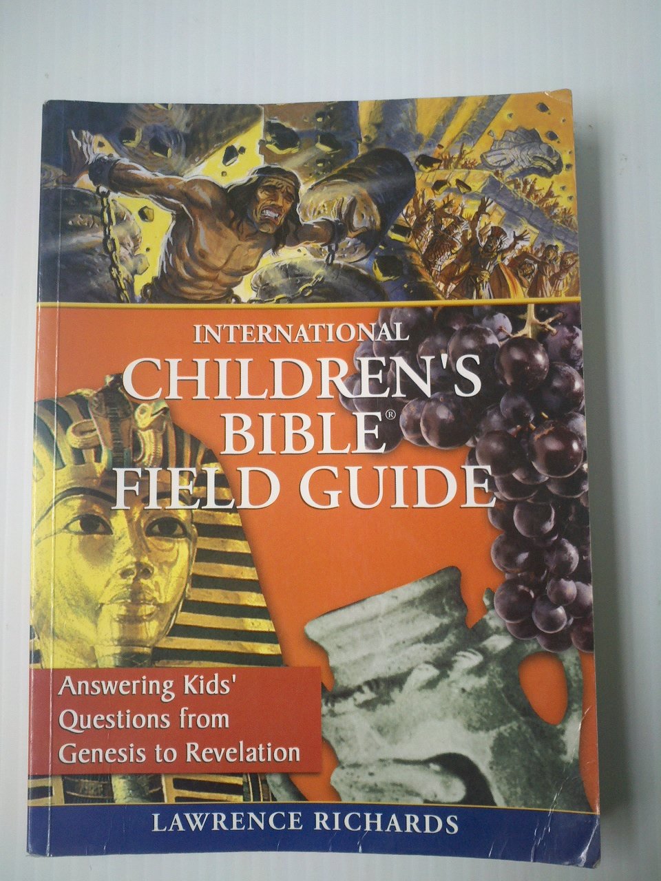 International Children's Bible Field Guide - 7171