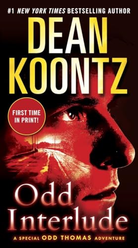 Odd Interlude: A Special Odd Thomas Adventure - 3233