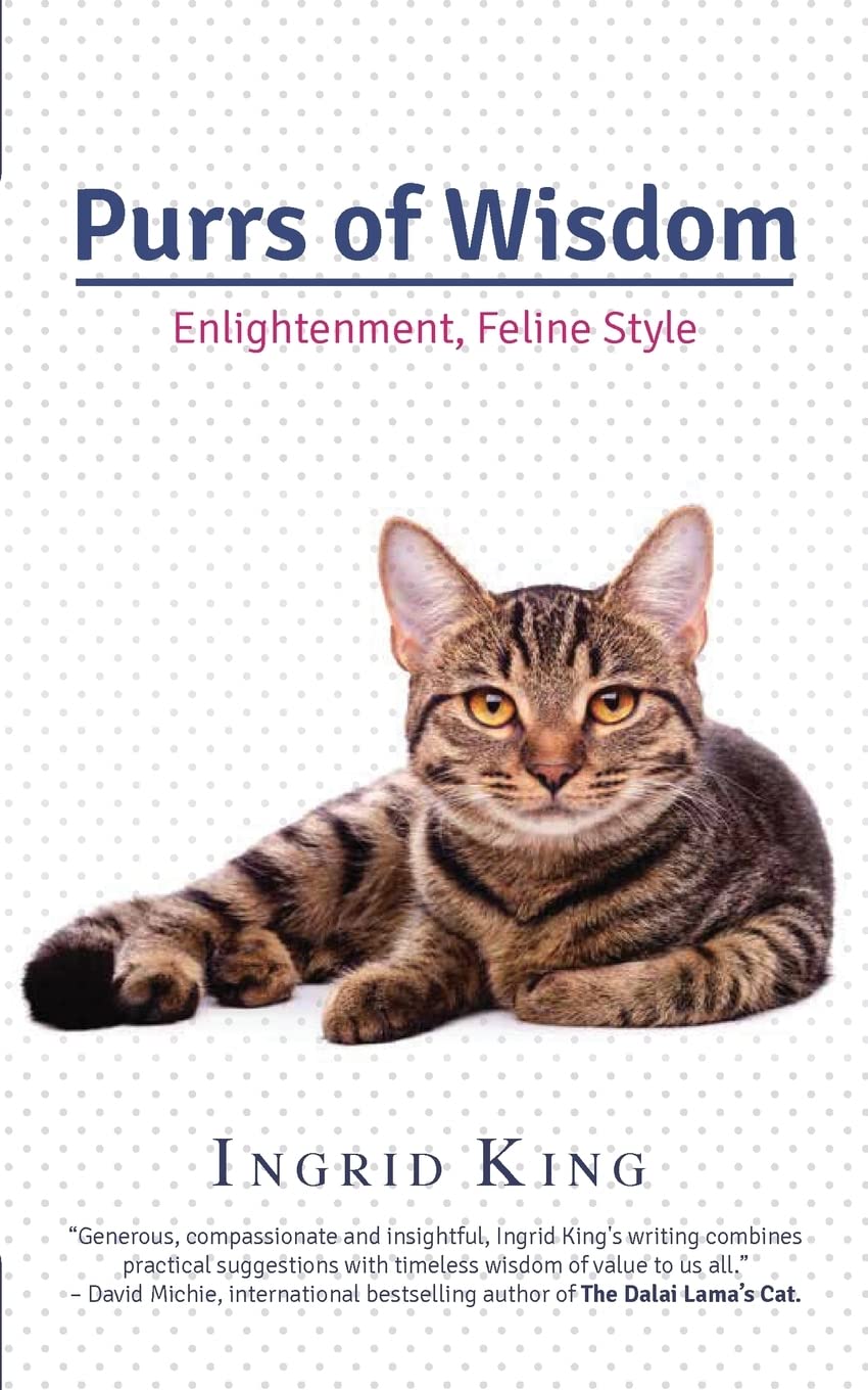 Purrs of Wisdom: Enlightenment, Feline Style