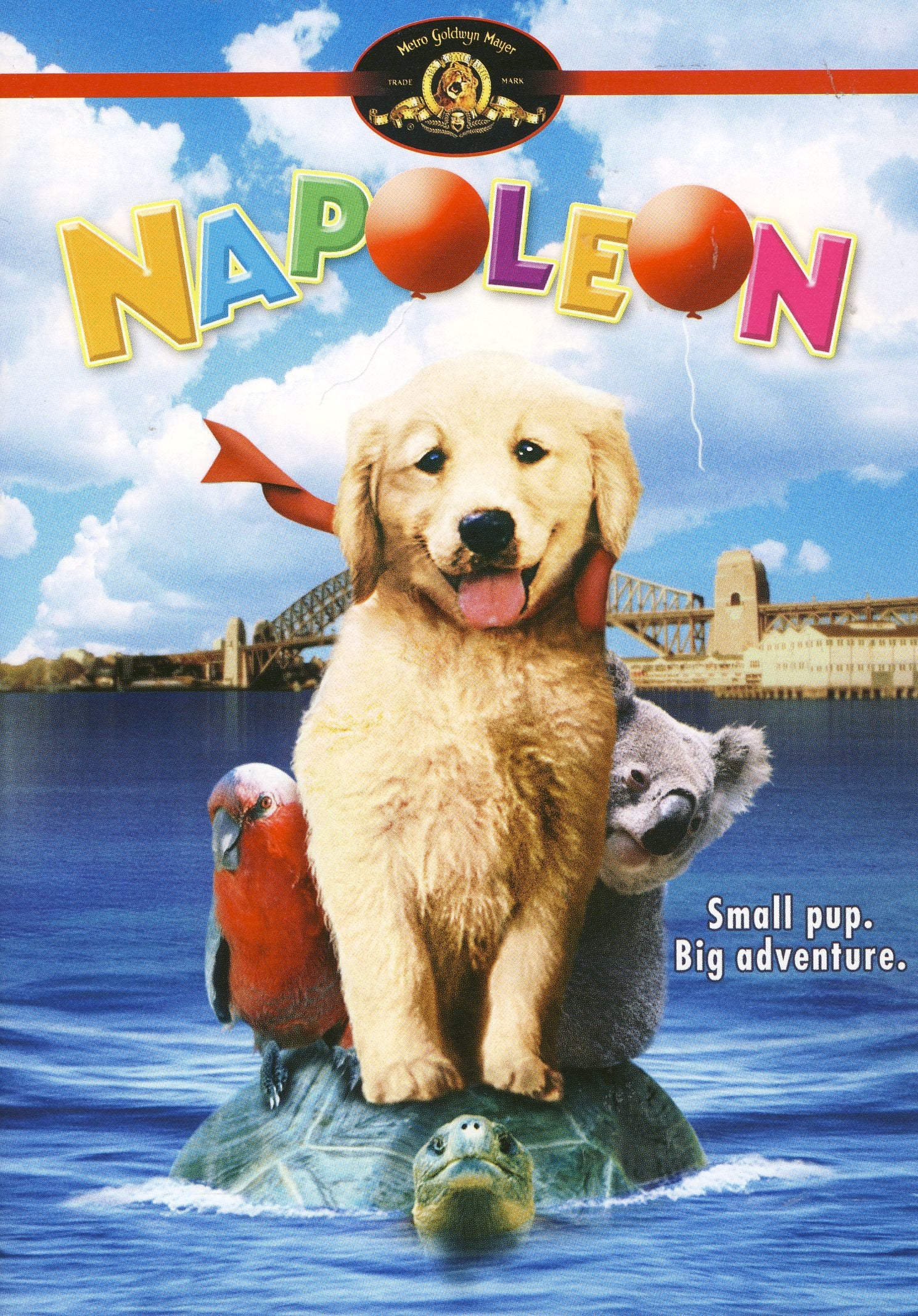 Napoleon [DVD] - 3176