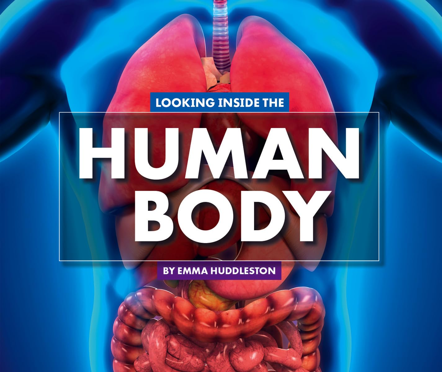 Looking Inside the Human Body (Looking at Layers) - 4019