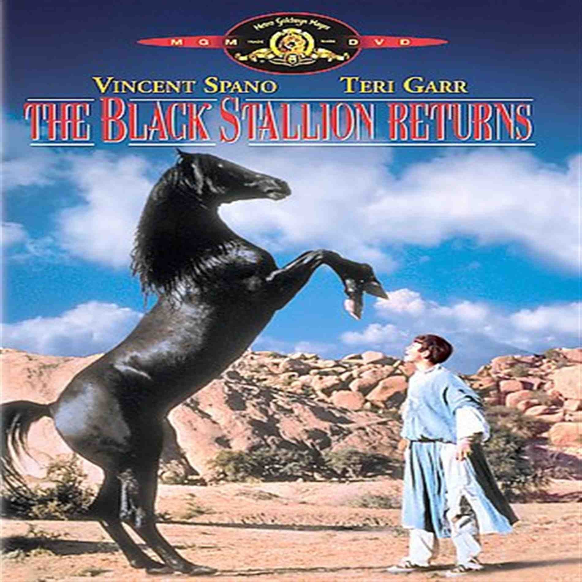 THE BLACK STALLION RETURNS - 9814